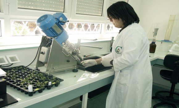 بلاغ انتداب الأساتذة المحاضرين المبرزين الاستشفائيين الجامعيين و الأساتذة الاستشفائيين الجامعيين في الصيدلة 2024