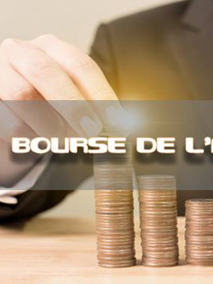 PV de la bourse d'alternance
