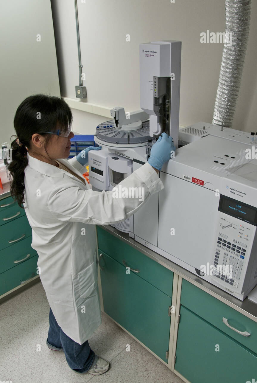 La deuxième journée de formation : Chromatographie en Phase Gazeuse Couplée à la Spectrométrie de Masse (GC-MS)