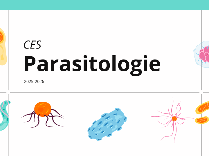 CES Parasitologie-Mycologie 2025-2026