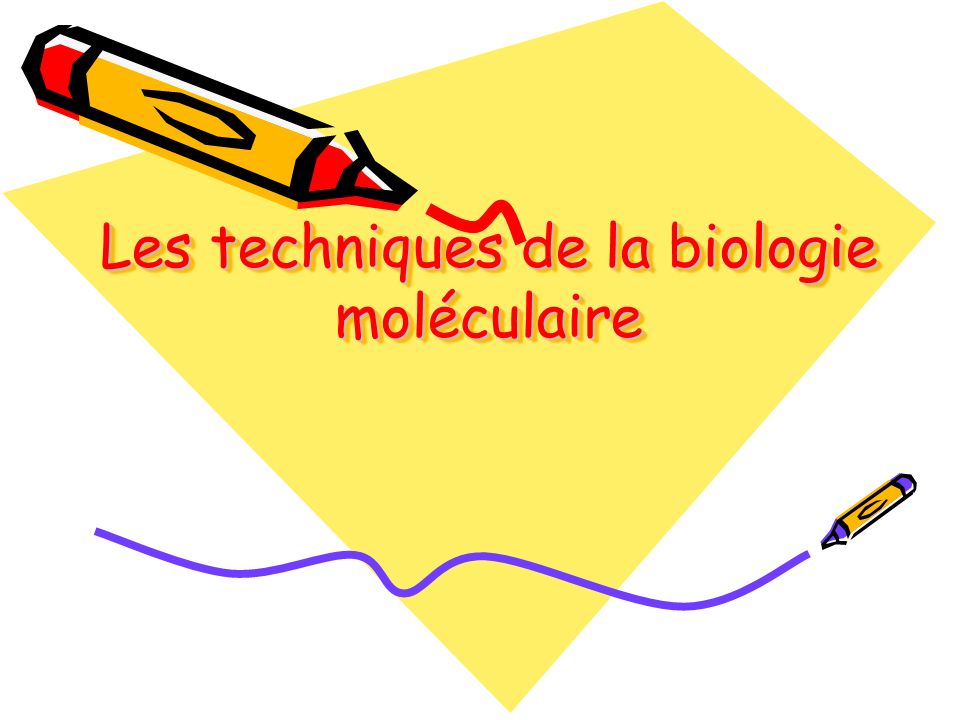 Liste des résidents retenus à la formation complémentaire  « Initiation aux techniques de biologie moléculaire »
