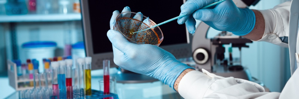 NOTE AUX RESIDENTS CES MICROBIOLOGIE  2024 2025