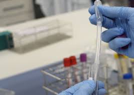 Organigramme des séances des travaux pratiques de cytologie année 2025-Résidents