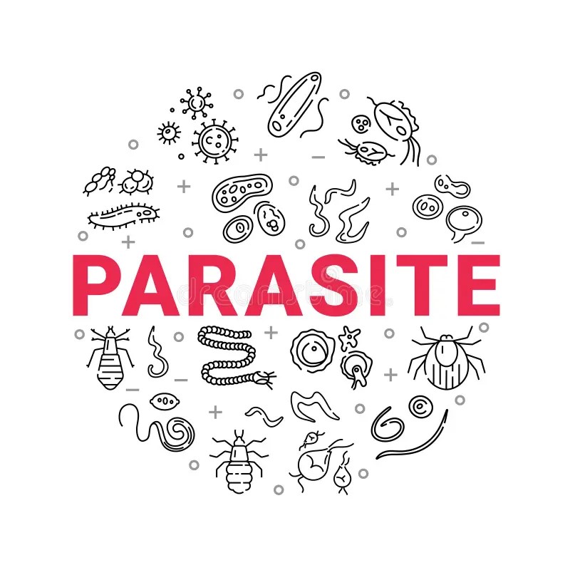 Note aux résidents - Examen TP CES  Parasitologie-Mycologie - 2026